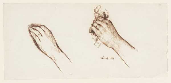 Study of Hands