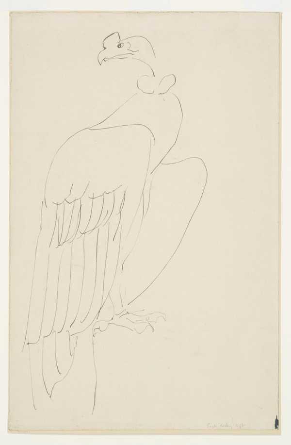 Vulture III