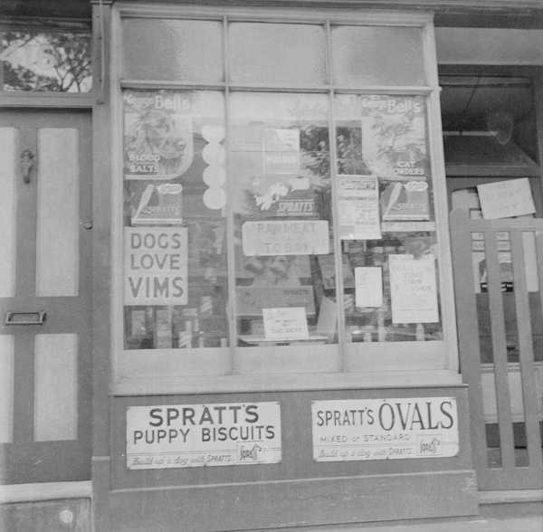 Photograph showing a shop front selling pet food‘, Nigel Henderson, [c
