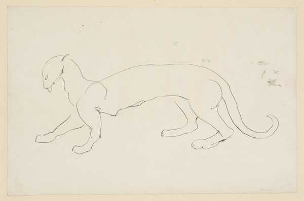 Puma II