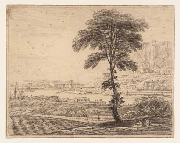 Landscape
