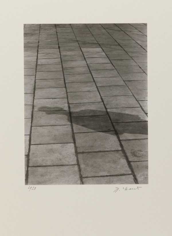 Advertisement for pavement stones, Cologne 1928