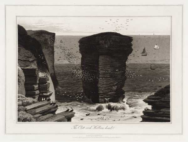 ‘The Clett-rock, Holborn-head‘, William Daniell | Tate