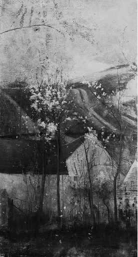 The Plum Tree