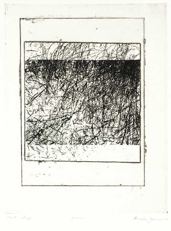 ‘Grass‘, Angela Jansen, 1977 | Tate