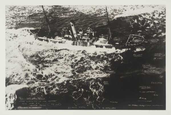 The Wrecking of the Ngahere