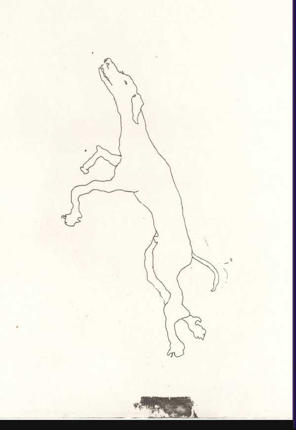 Dancing Dog