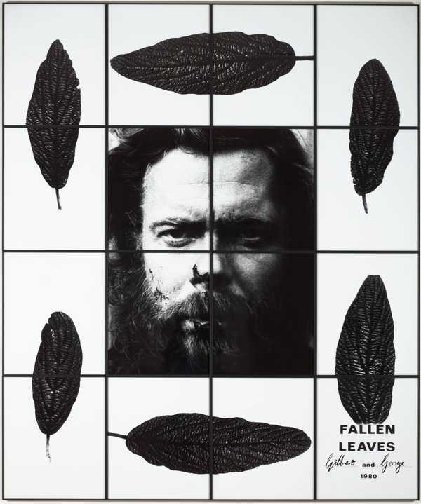 Fallen Leaves