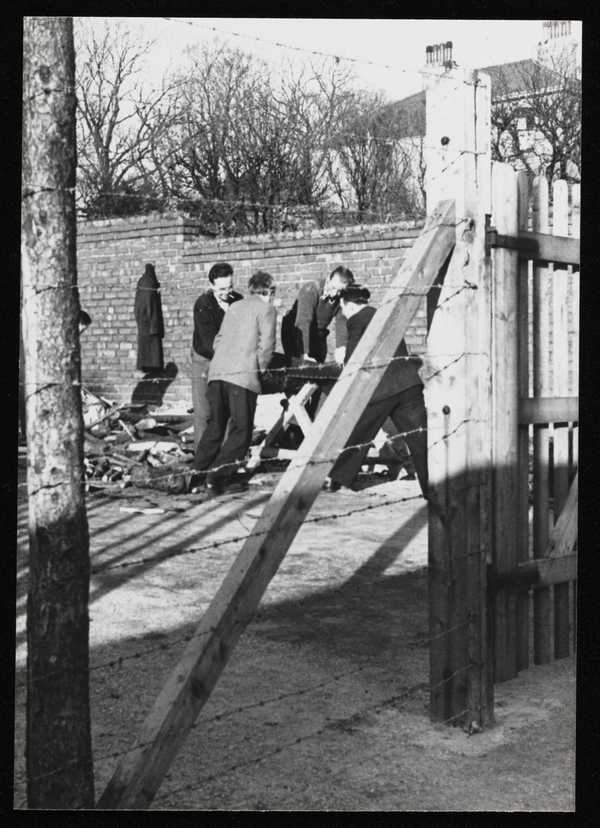 Photograph of internees chopping wood at Hutchinson Internment Camp