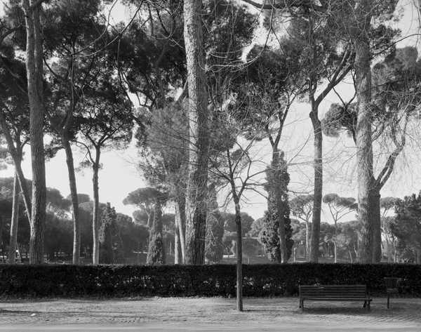 John Riddy born 1959 | Tate