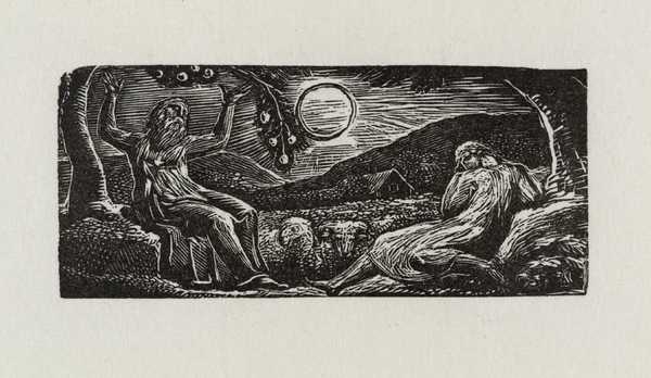 Thenot and Colinet Converse Seated between Two Trees
