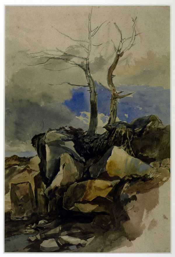 Rocks and Trees