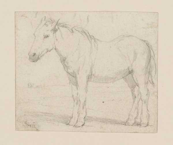 A Farm Horse