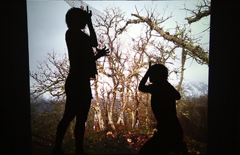 two black silhouettes against a projected tree 