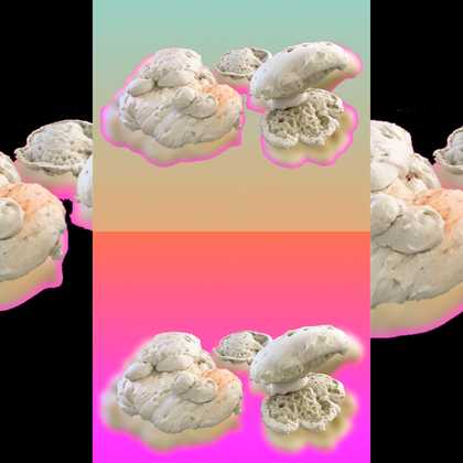 Eve Stainton, Expanding Fantasies, 2018