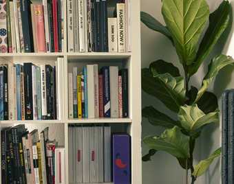 Shelves of reference books in the Patternity studio