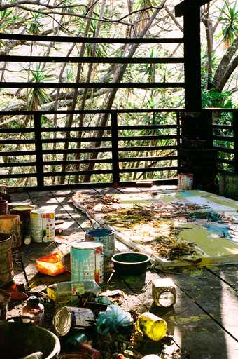 Photograph of storage and working spaces in the two studios that Suter has built in the Guatemalan rainforest