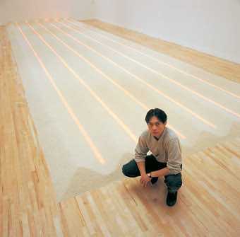 Vong Phaophanit with Neon Rice Field at the 1993 exhibition 