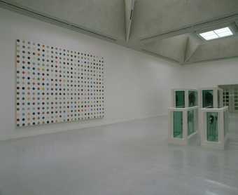 Damien Hirst Turner Prize 1995 installation view