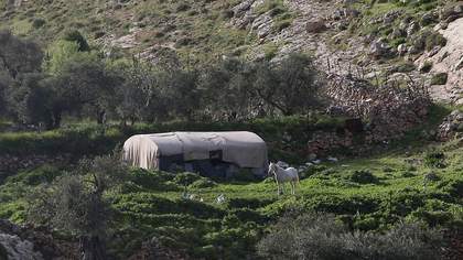 A tent-like construction and a white horse in the countryside