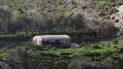 A tent-like construction and a white horse in the countryside