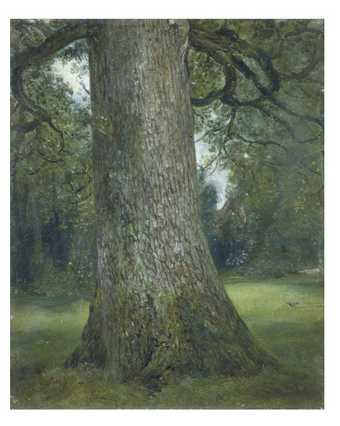 John Constable, Study of the Trunk of an Elm Tree ca. 1821