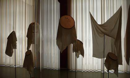Hu Xiaoyuan, A Keepsake I Cannot Give Away 2007