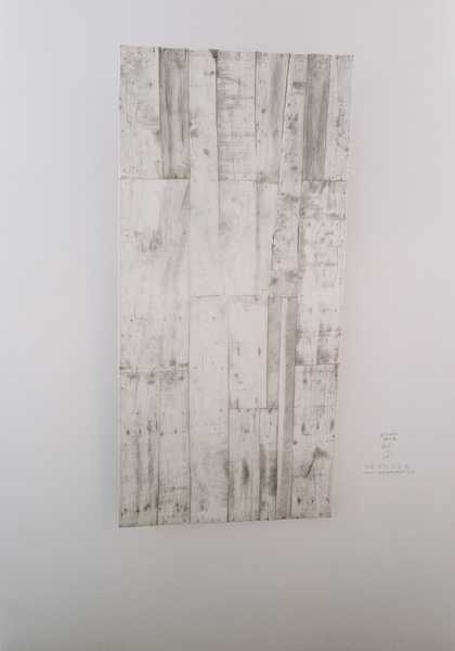 Hu Xiaoyuan, Wood 2008