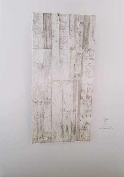 Hu Xiaoyuan, Wood 2008