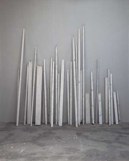 Hu Xiaoyuan, Wood 2010