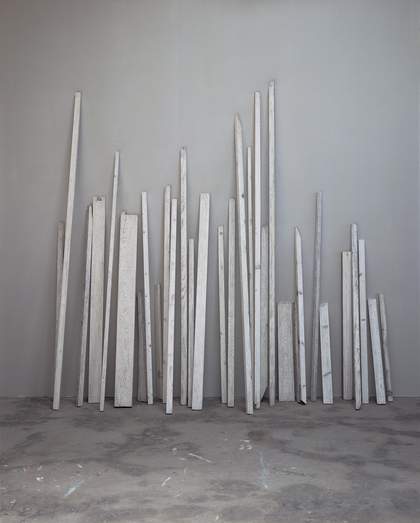 Hu Xiaoyuan, Wood 2010