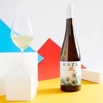 A glass and bottle of sake from KANPAI sake brewery against a bright coloured background