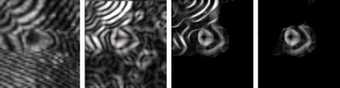 Laser holography images showing a fringe pattern