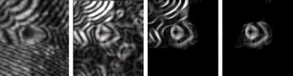 Laser holography images showing a fringe pattern