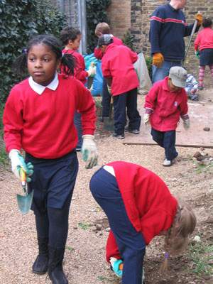 Tate Community garden