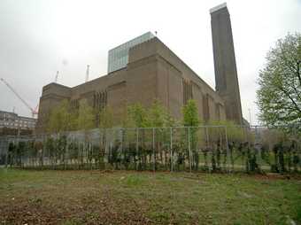 Tate Modern Community garden