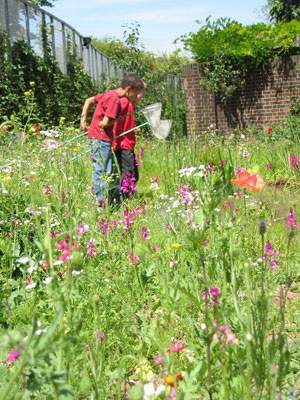 Tate Modern community garden