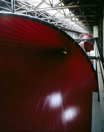 Anish Kapoor Marsyas 2002 10