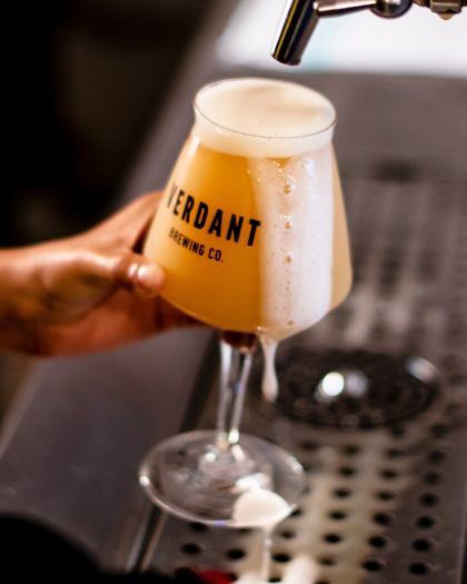 Picture of beer