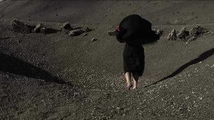 Berni Searle Seeking Refuge 2008