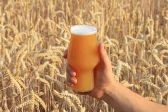 a pint of beer in front of a barley field