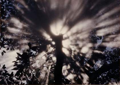 Fujiko Nakaya, Earth Talk. Photo: Fujiko Nakaya