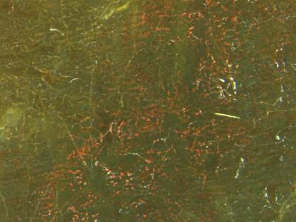 Red and green mottled paint with fine cracks