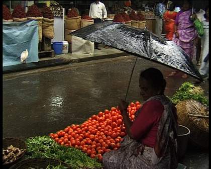 Anjali Monteiro and K.P. Jayasankar still from Saacha (The Loom) 2001