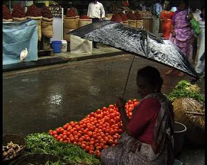 Anjali Monteiro and K.P. Jayasankar still from Saacha (The Loom) 2001﻿