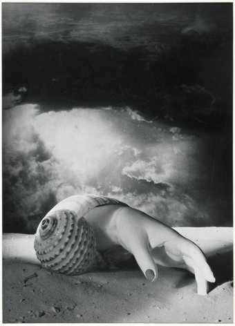 surreal black and white photograph of a hand coming out of a shell on a beach.