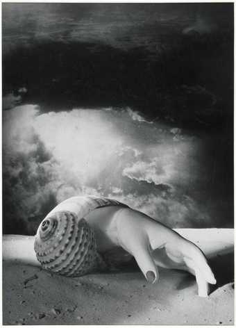 Black and white photograph of a hand and shell by Dora Maar