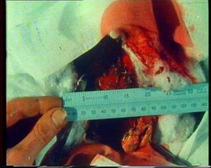 Sandra Lahire, Edge, UK 1986, film still. Courtesy the artist and LUX