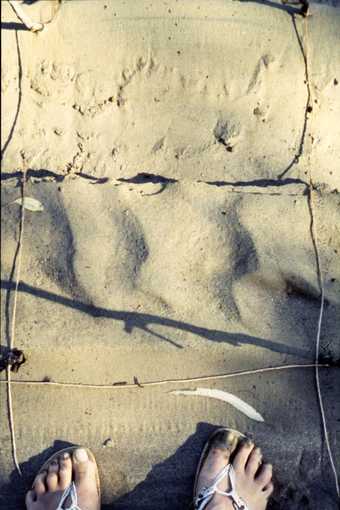 Bird's eye view of someones bare feet in the sand with sticks marking out a square 