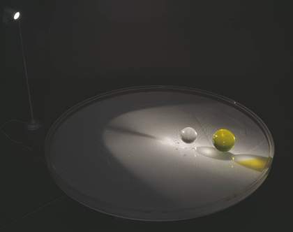 Liliana Lijn, Liquid Reflections 1968